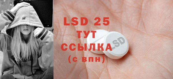 spice Богородицк