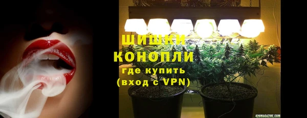 ПСИЛОЦИБИНОВЫЕ ГРИБЫ Богородск