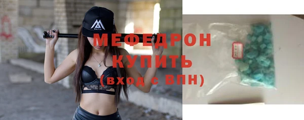 spice Богородицк