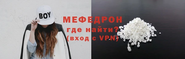 spice Богородицк