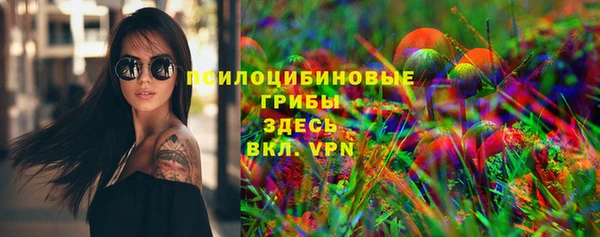 ПСИЛОЦИБИНОВЫЕ ГРИБЫ Богородск