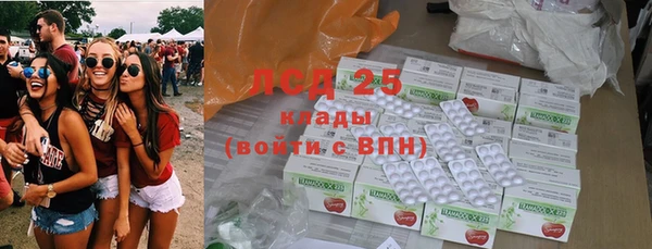 ПСИЛОЦИБИНОВЫЕ ГРИБЫ Богородск