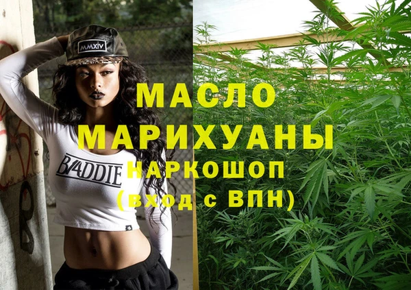 spice Богородицк