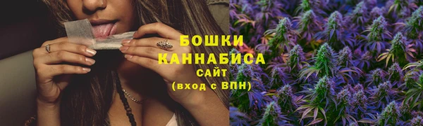 spice Богородицк